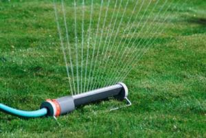 Lawn Watering Tips for Montgomery County, Maryland