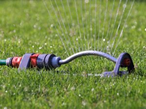 Tips For Watering Your Lawn Properly