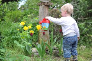 Watering Landscape Plants