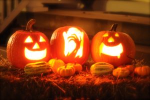 Best Places To Buy A Pumpkin In Montgomery County, MD