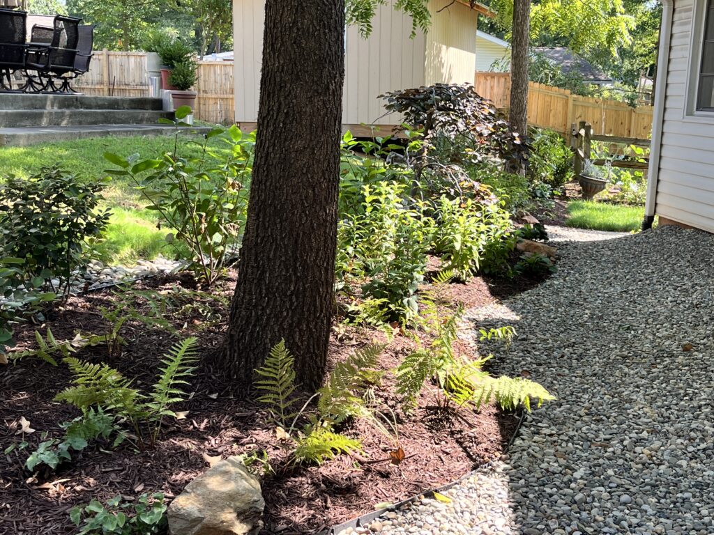 landscaping under trees