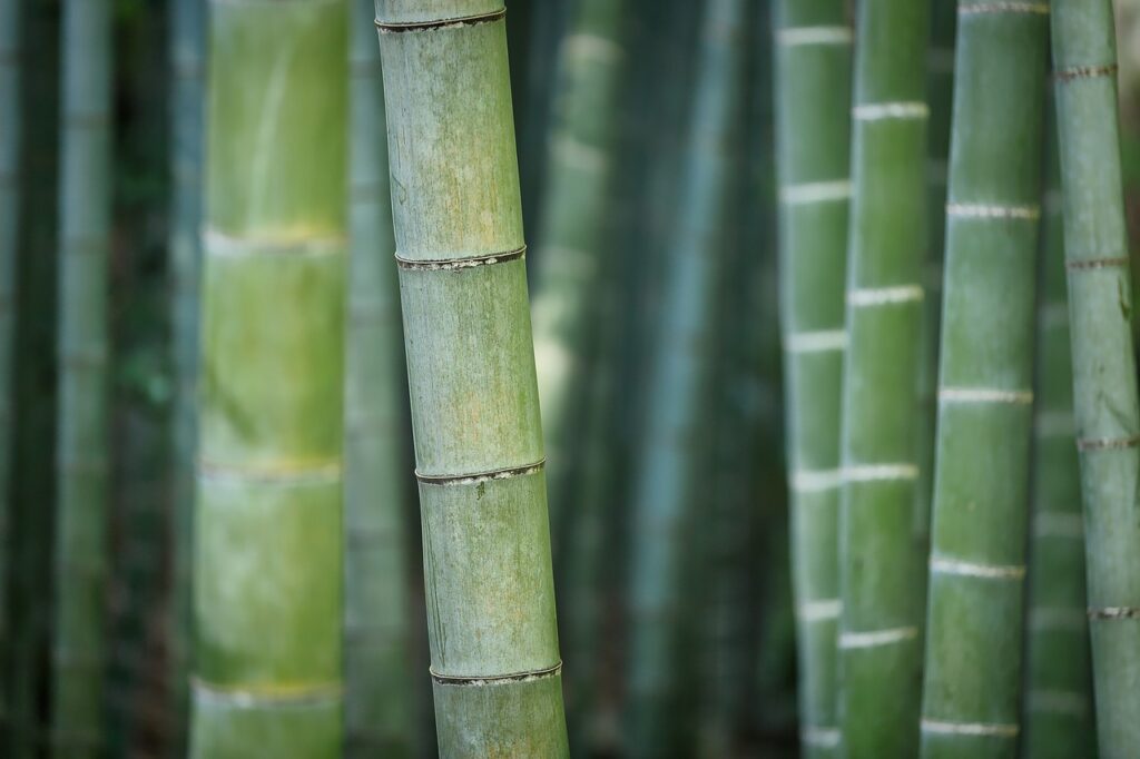 bamboo barrier effectiveness