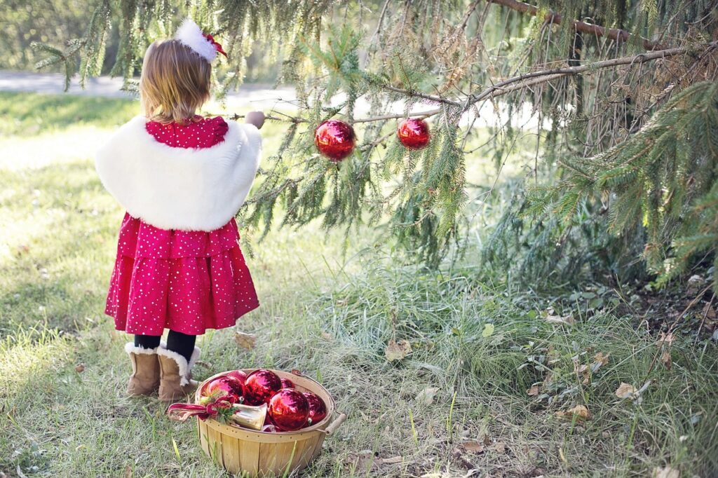 top december gardening tips