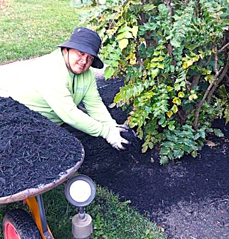 Benefits Of Mulching